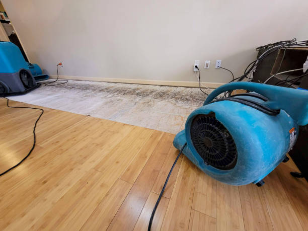 Professional Basement Flood Cleanup technician working in Sugar Land, TX